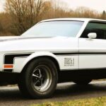 Ford Mustang Mach1 429 POSTER 24 X 36 INCH SWEET!