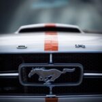 Ford Mustang Pony Badge LOGO POSTER 24 X 36 INCH SWEET!