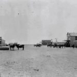 Plainview, Texas in 1890 POSTER 24 X 18 Inches Wall Art