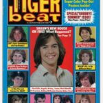 TiGER beat Cover SEPTEMBER 1978 POSTER 24 X 18 Inches Nice!