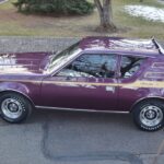1972 AMC GREMLIN X MODEL POSTER 24 X 36 INCH DORKY BUT A SWEET CLASSIC!