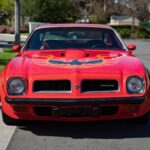 1974 Pontiac Firebird Trans Am SD 455 (Front ) POSTER 24 X 36 INCH SWEET!