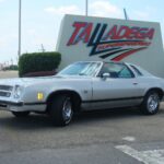 1975 Chevelle Laguna Type S3 POSTER 24 X 36 INCH Looks Sweet!