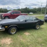 1975 Chevy Vega Cosworth POSTER 24 X 36 Inches SWEET!