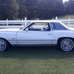 1976 CHEVROLET MONTE CARLO LANDAU (WHITE SIDE VIEW) POSTER 24 X 36 INCH SWEET!