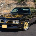 1977 Pontiac Firebird Trans Am POSTER 24 X 36 INCH Looks Sweet!