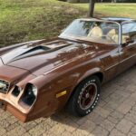 1978 Chevy Camaro Z28 4-Speed Brown POSTER 24 X 36 INCH Looks Sweet!