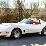 1981 Chevrolet Corvette POSTER 24 X 36 Inches SWEET!