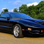 2002 Pontiac Firebird Trans AM Black S6 POSTER 24 X 36 INCH