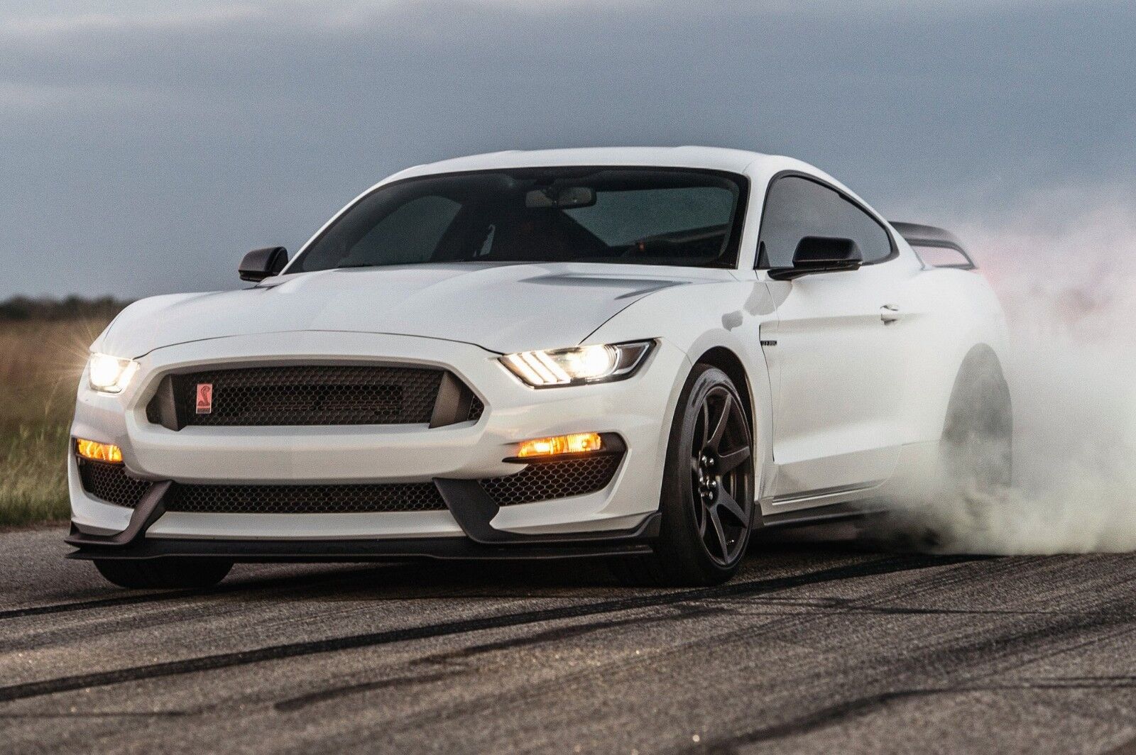 2018-FORD-MUSTANG-COBRA-BURN-OUT-POSTER-24-X-36-INCH-LOOKS-AWESOME-123321831206 2018 FORD MUSTANG COBRA (BURN OUT) POSTER 24 X 36 INCH LOOKS AWESOME!! - Image 1