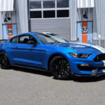 2019 Ford Mustang Shelby GT350 (Pit Lane) POSTER 24 X 36 INCH Sweet Ride!