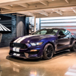 2019 Ford Shelby GT350 (Cobra Wall) Rear POSTER 24 X 36 INCH SWEET!