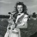 Norma Jeane Mortenson Marilyn Monroe 1945 POSTER 24 X 18 Inches Sweet!