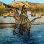 Spinosaurus (Water) DINOSAUR POSTER 24 X 18 Inches NICE!