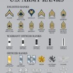 U.S. Army Ranks POSTER 24 X 36 Inches