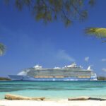 royal caribbean Allure of the Seas (Palm) POSTER 24 X 36 Inches Nice!