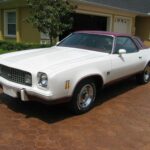 1974 CHEVROLET CHEVELLE LAGUNA 22 POSTER 24 X 36 INCH SWEET LOOKING!