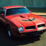1974 PONTIAC FIREBIRD TRANS AM (RED) POSTER 24 X 36 INCH Looks GREAT!