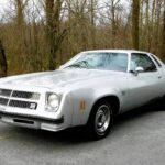 1975 Chevrolet Chevelle Laguna S3 POSTER 24 X 36 INCH Beautiful Machine!
