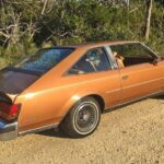 1979 Buick Century Turbo Coupe POSTER 24 X 36 INCH Sweet!