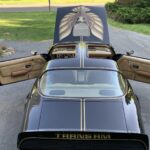 1979 Pontiac Firebird Trans Am (Open Air) POSTER 24 X 36 INCH Sweet!