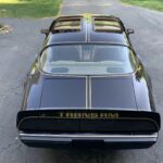 1979 Pontiac Firebird Trans Am (Rear Aerial) POSTER 24 X 36 INCH Sweet!