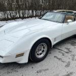 1980 Chevrolet Corvette WHITE POSTER 24 X 36 INCHES SWEET!