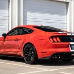 2016 Ford Shelby GT350R Mustang (Rear Angle) POSTER 24 X 36 INCH SWEET!