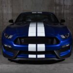 2018 FORD MUSTANG SHELBY GT350 (Front - Grill) POSTER 24 X 36 INCH Sweet Ride!