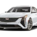 2025 Cadillac CT5 Sport Sedan (White) POSTER 24 X 36 INCH Looks Awesome!