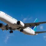 Boeing 737 MAX (Flight) POSTER 24 X 36 INCH Nice!