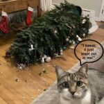 CAT Vs CHRISTMAS TREE POSTER 24 X 18 INCH Christmas Wall Art