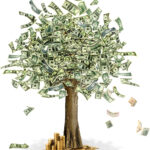 Money Tree (Dollars) POSTER 13 X 19 INCH Sweet! Wall ARt