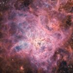 TARANTULA NEBULA POSTER 24 X 36 INCH AMAZING LOOKING!