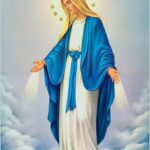 The Virgin Mary Red Roses POSTER 24 X 36 INCH Catholic,Difficult Marriages
