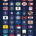 USA State Flags Classroom Chart POSTER 24 X 18 Inches Nice Wall Art!