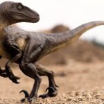 Velociraptor DINOSAUR POSTER 24 X 18 Inches NICE!