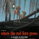 Where the Red Fern Grows (1974) POSTER 24 X 18 Inches Nice!