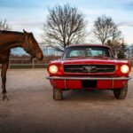 1966 Ford Mustang FRONT RED (Horse) POSTER 24 X 36 INCH SWEET!