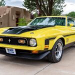 1971 Ford Mustang 429 Mach 1 Grabber Yellow (F-Angle) POSTER 24 X 36 INCH SWEET!