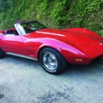 1973 CHEVROLET CORVETTE STINGRAY (RED) POSTER 24 X 36 INCH Looks GREAT!