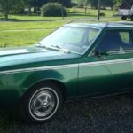 1974 AMC Gremlin (Green-Side) POSTER 24 X 36 INCH Sweet!