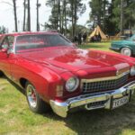 1974 CHEVROLET MONTE CARLO LANDAU POSTER 24 X 36 INCH SWEET!