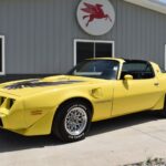 1979 Pontiac Trans Am (Yellow) POSTER 24 X 36 INCH Sweet!