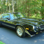 1980 Chevy Camaro Z28 POSTER 24 X 36 INCH SWEET LOOKING!