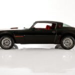 1980 Pontiac Firebird Trans Am 4.9 (Side) 24 X 36 INCH Nice!