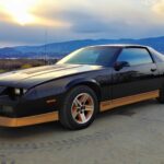 1984 Camaro Z28 (Sunrise) POSTER 24 X 36 INCH Looks Sweet!