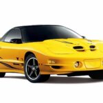 2002 PONTIAC FIREBIRD TRANS AM (YELLOW) POSTER 24 X 36 INCH Looks Sweet!
