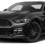 2017 FORD MUSTANG GT 5.0 (BLACK) POSTER 24 X 36 INCH LOOKS AWESOME!!