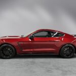 2019 Ford Mustang Shelby GT350 (Dark Red) POSTER 24 X 36 INCH Sweet Ride!